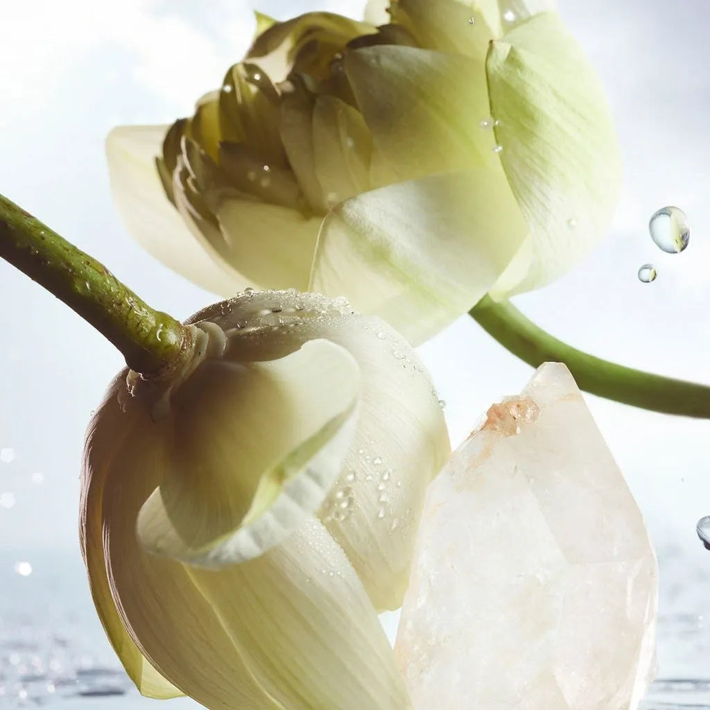 Bvlgari Man Rain Essence Eau de Parfum 100ml