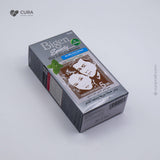 Bigen Speedy H Color 883 80ml